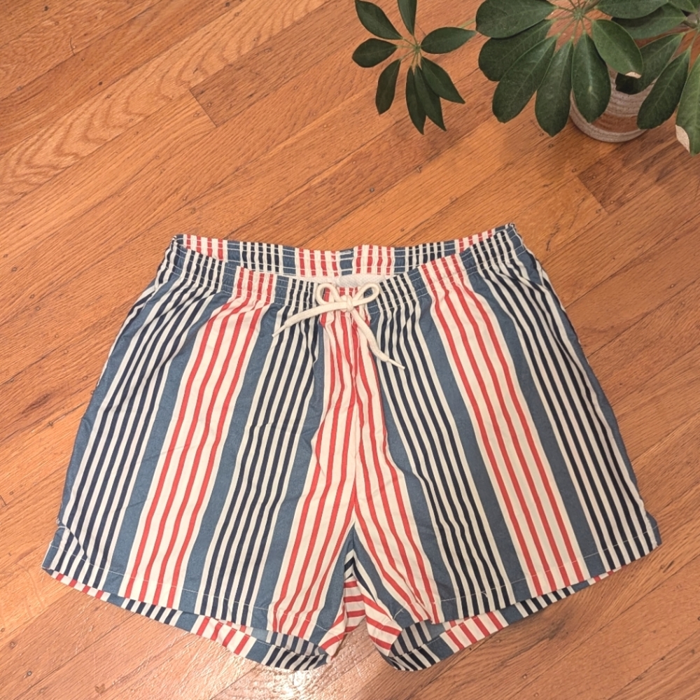 American Apparel Swim Shorts